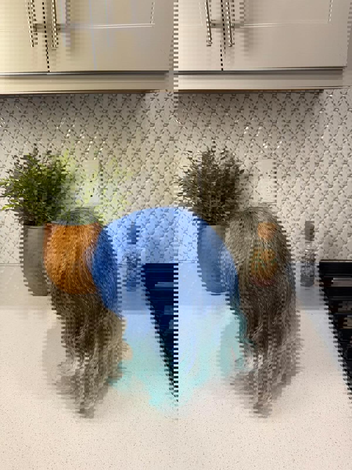 Blue to Aqua Ombre Wavy Synthetic Wig with Bangs