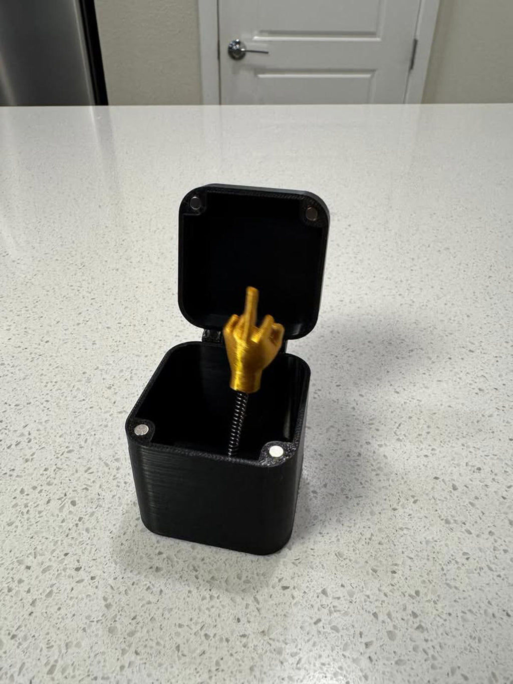 Black Novelty Gift Box with Middle Finger Pop-Up and 'Just for You' Lid