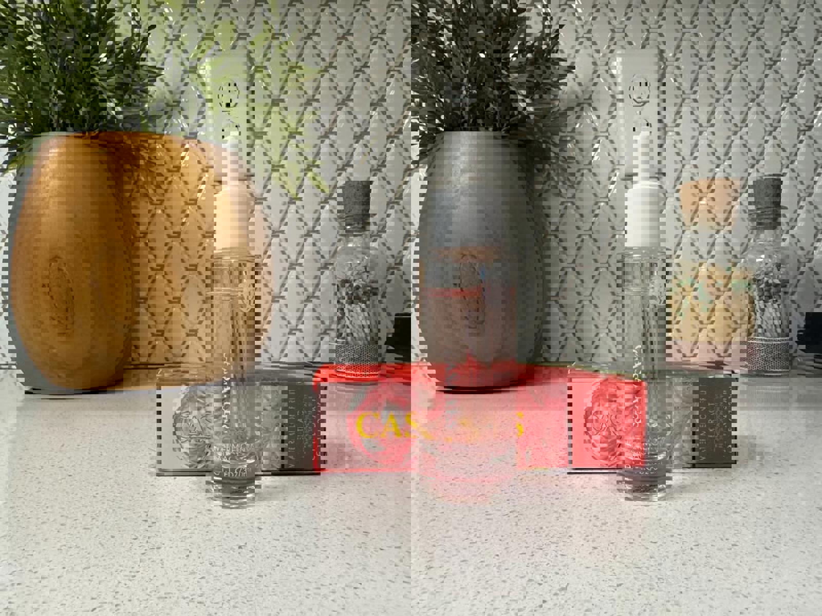 CASAYES Watermelon Fruit Extract Serum 1.01 fl oz / 30 ml