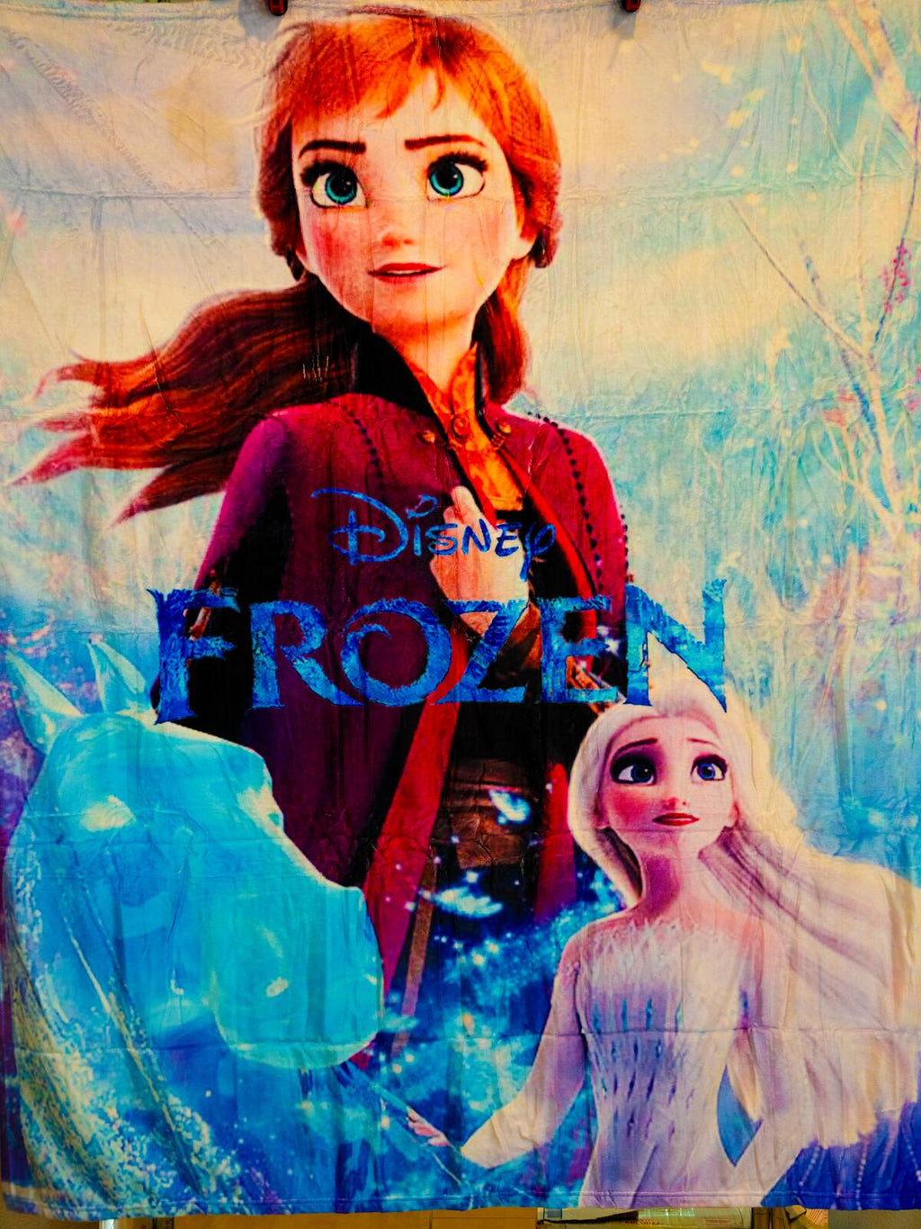 Disney Frozen Plush Blanket 50x60