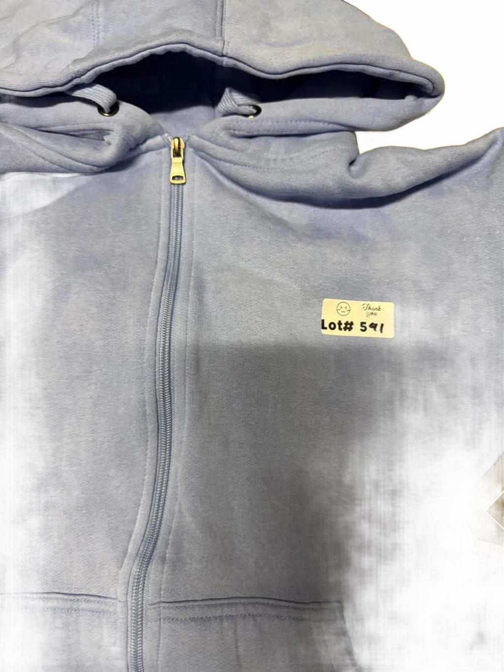 Light Blue Full-Zip Hoodie with Hood