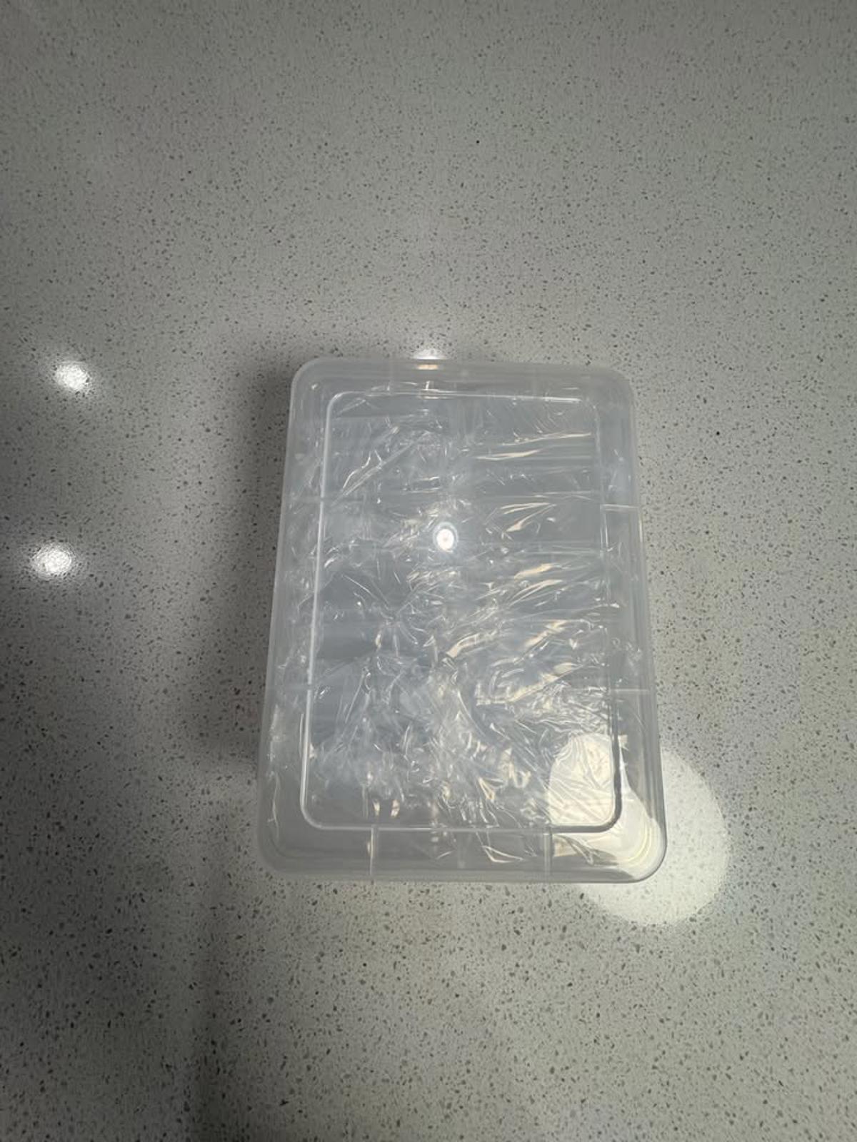 Set of Clear Plastic Storage Containers with Lids