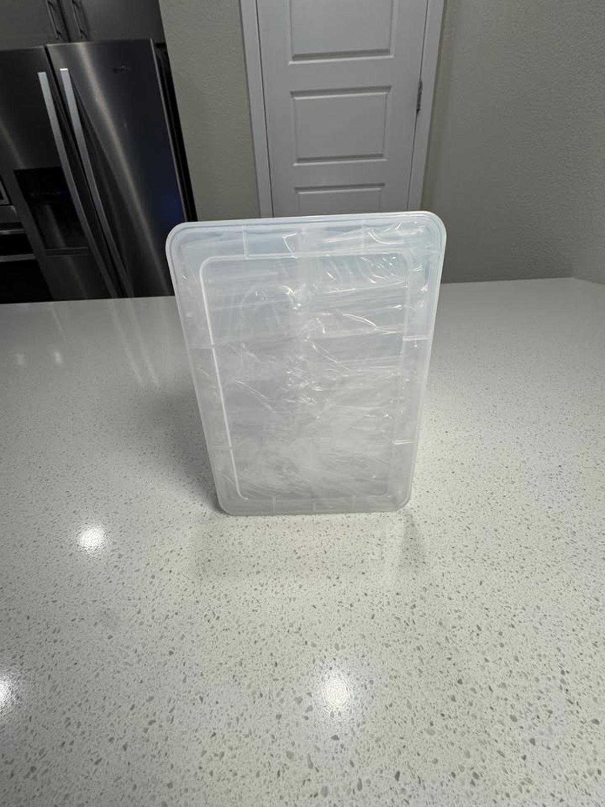 Set of Clear Plastic Storage Containers with Lids